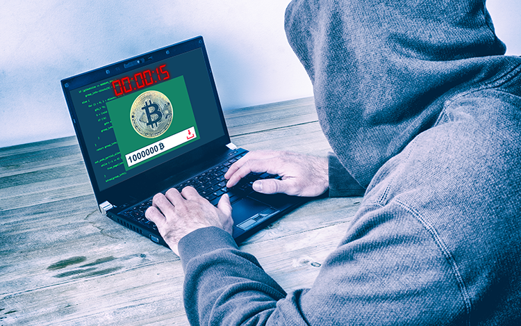 fraudster in front of laptop