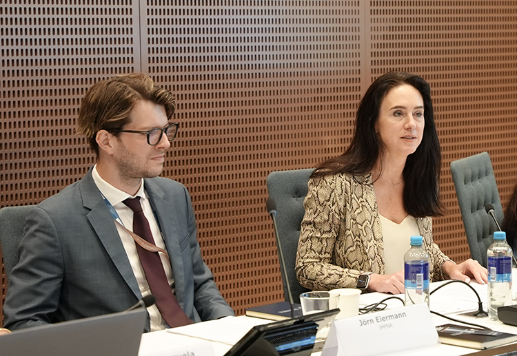     Vice-President of Eurojust Margarita Šniutytė-Daugėlienė speaking at the meeting on guidelines for Civil Society Organisations 
