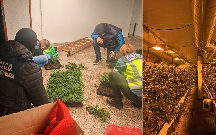 police finding marijuana