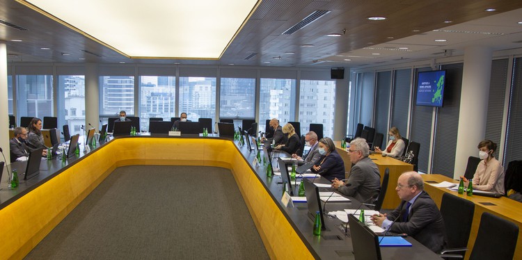 The nine European Justice and Home Affairs (JHA) agencies came together to wrap up the activities of the network in 2021 and present its key achievement