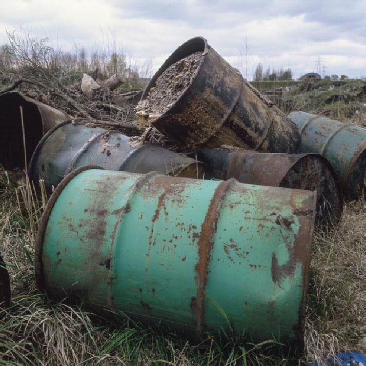 Environmental crime