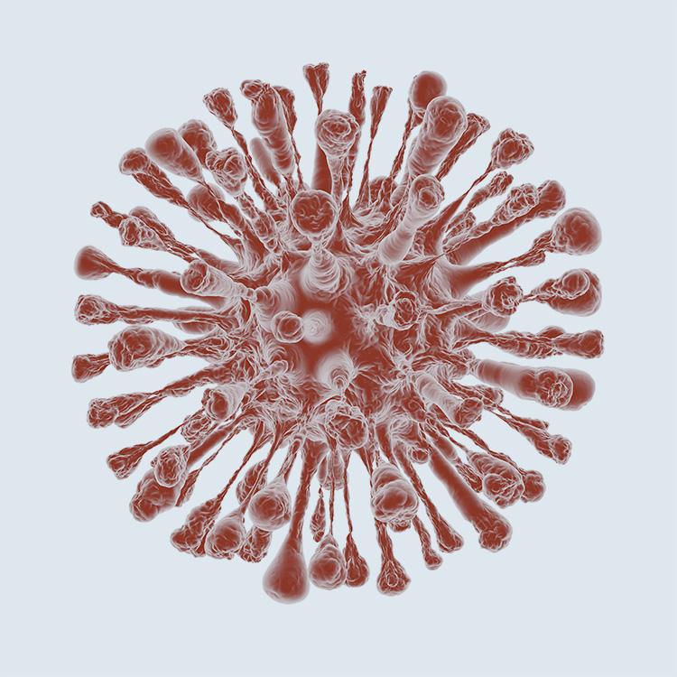 3. Full operational continuity during COVID-19 pandemic 