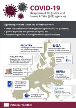 Small image of infographic