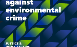 Publication cover