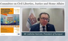Screenshot from the virtual meeting
