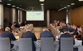 WBCJ project training