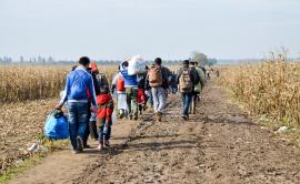 migrants walking in field