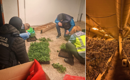 police finding marijuana