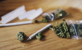 marijuana plants and cigarets