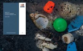 Report on environmental crime stresses need for further cooperation