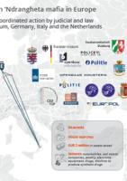 detail of infographic