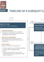detail infographic